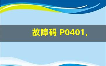 故障码 P0401,中国通用 故障码 P0300